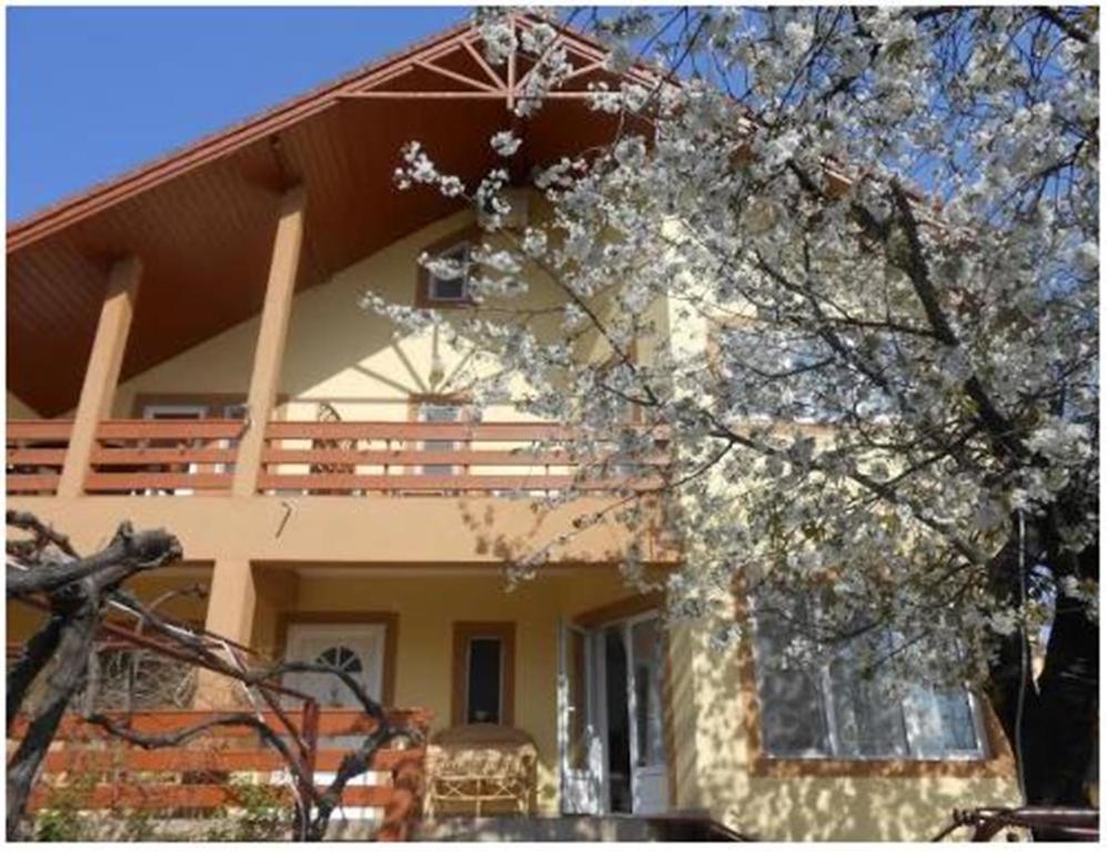 Pensiunea Pentru Tine Prietene Arcani Rom bilde