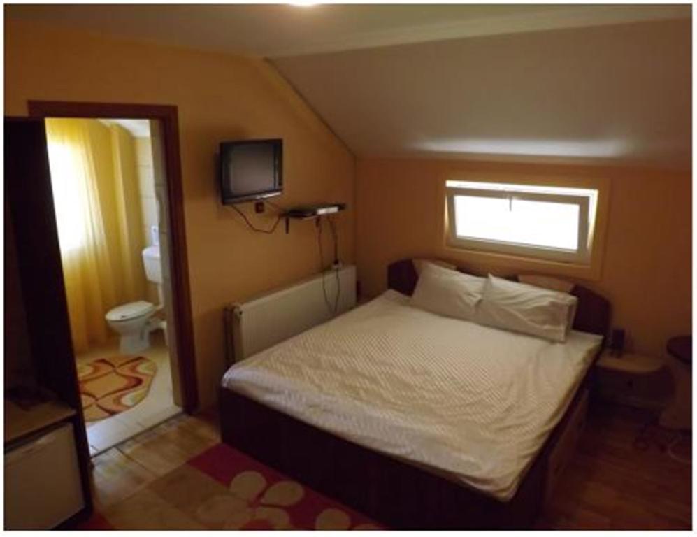 Pensiunea Pentru Tine Prietene Arcani Rom bilde