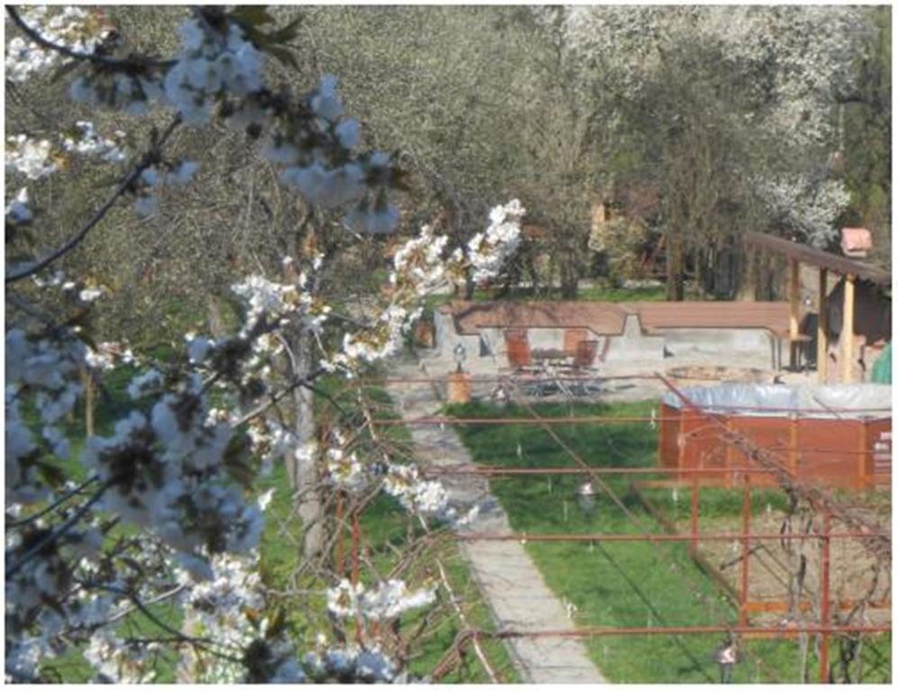 Pensiunea Pentru Tine Prietene Arcani Rom bilde